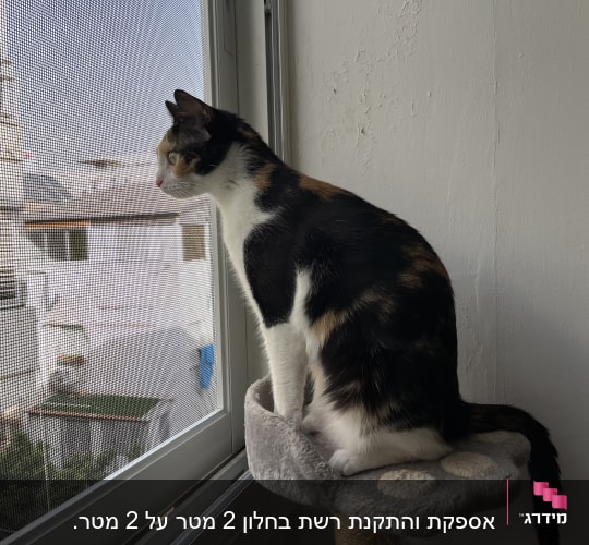 חתול יושב ליד חלון עם מסגרת אלומיניום